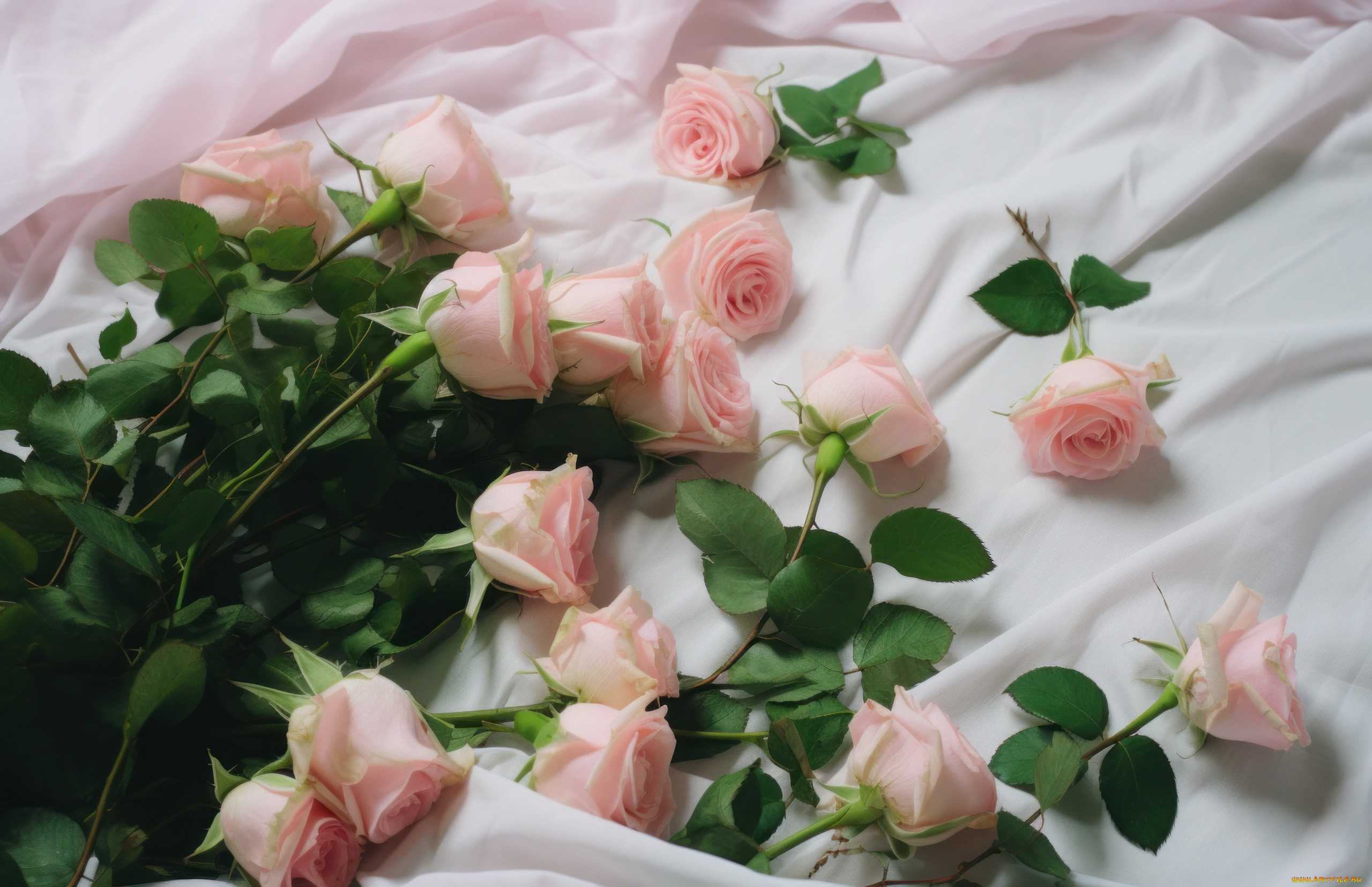3 ,  , flowers, 